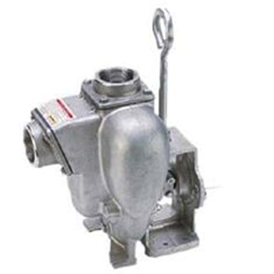 BANJO 2" 316 SS PUMP WITH BEARING PEDESTAL
