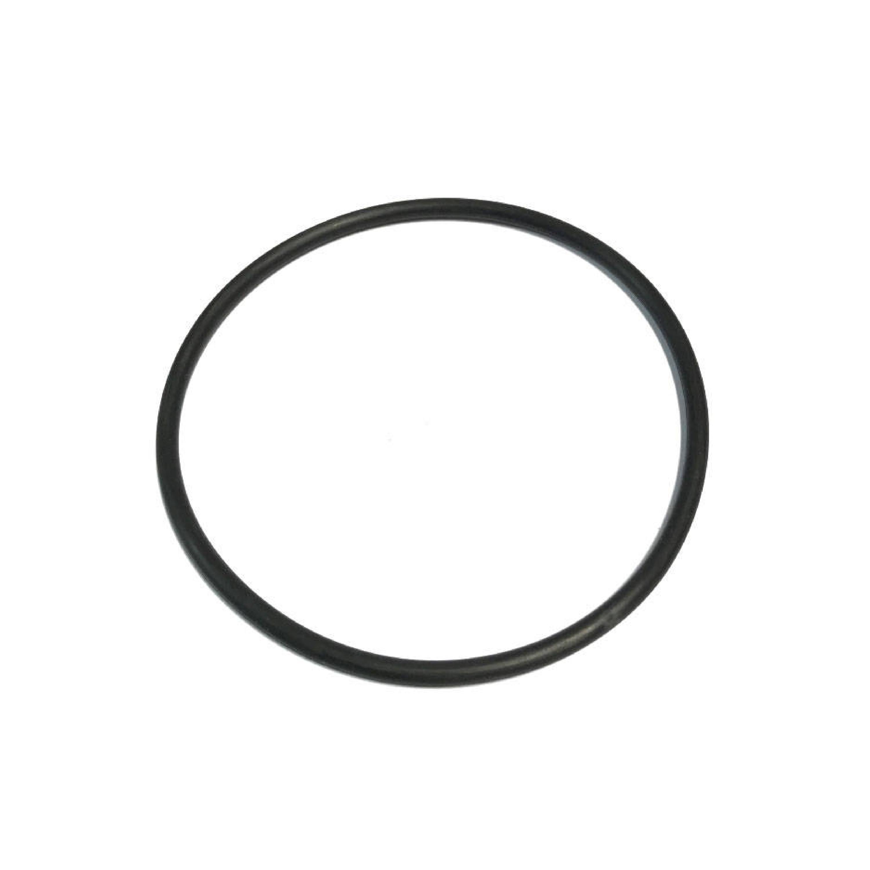 BANJO Y STRAINER ORING (LS150200) OLD STYLE