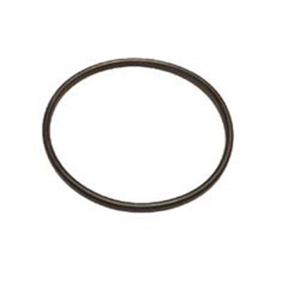 BANJO 3" FLANGE Y-STRAIN END CAP GASKET - VITON